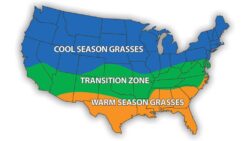 Grass growing zones cool season grass, transition zone, warm season grass zone north america.